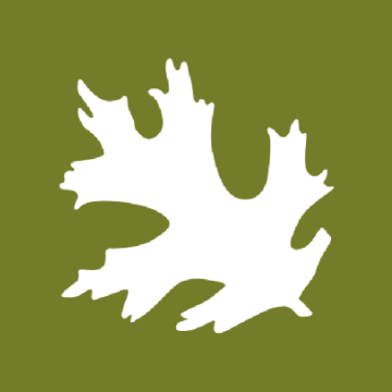 High Park Bird Watching Guide