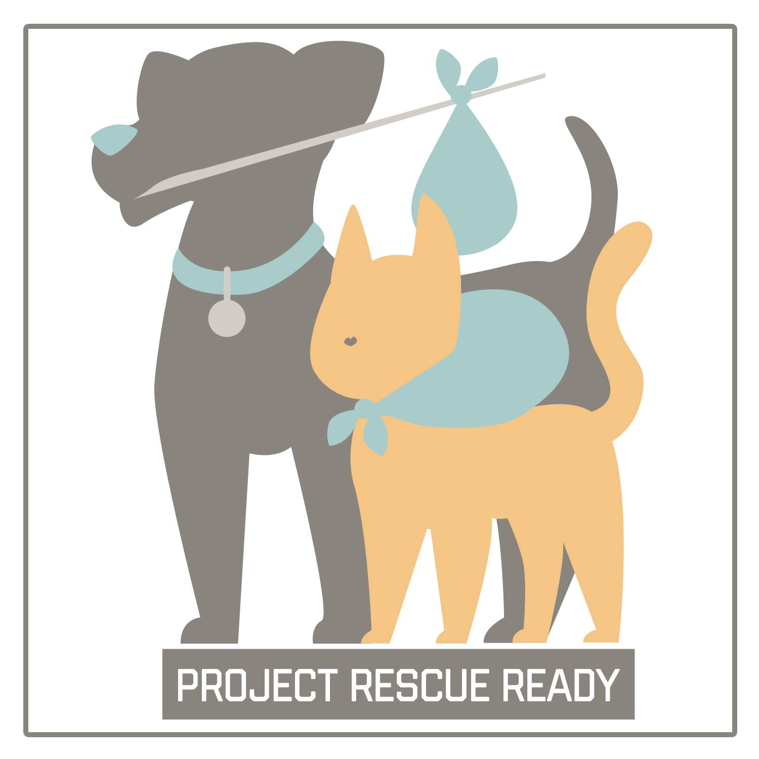 Project Rescue Ready