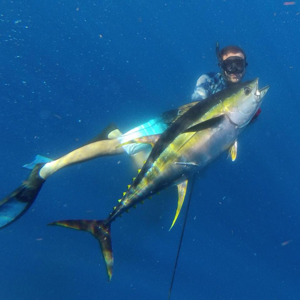 Virgin Islands freedivers - Hey Everyone! Here is a copy of the 2013 ...