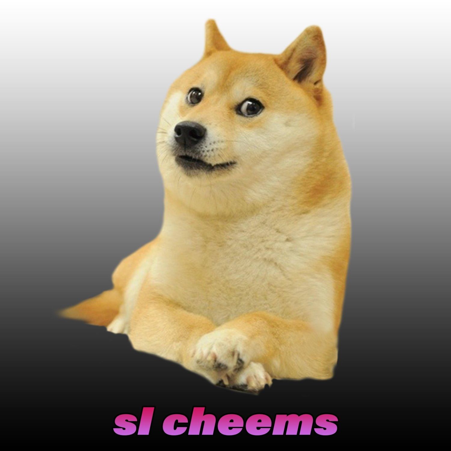 Sl cheems