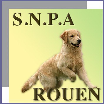 SNPA Rouen - non officiel