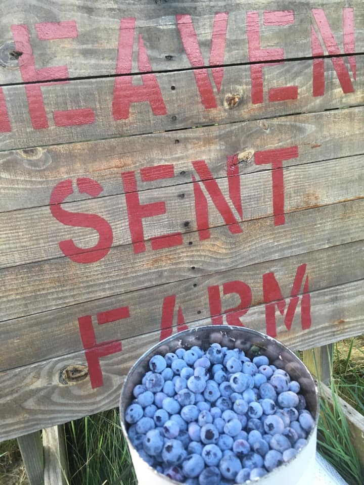 Heaven Sent Farm | Phelps NY
