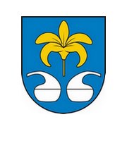 Miasto i Gmina Nowa Sarzyna