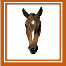 Equivizor.co.uk