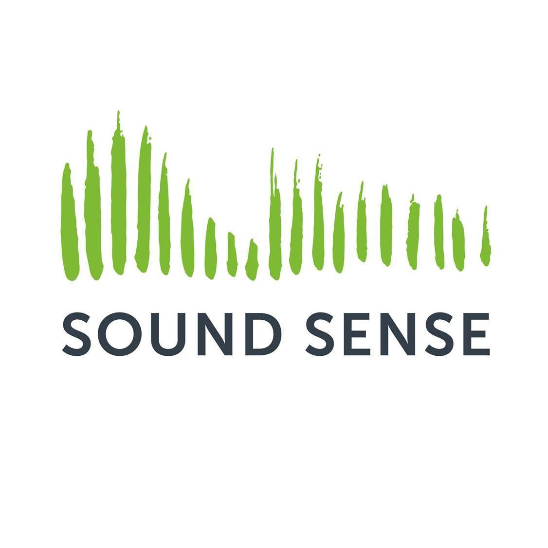 Sound Sense
