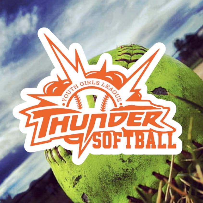 Another great season! The time,... - LCN Thunder Softball | Facebook