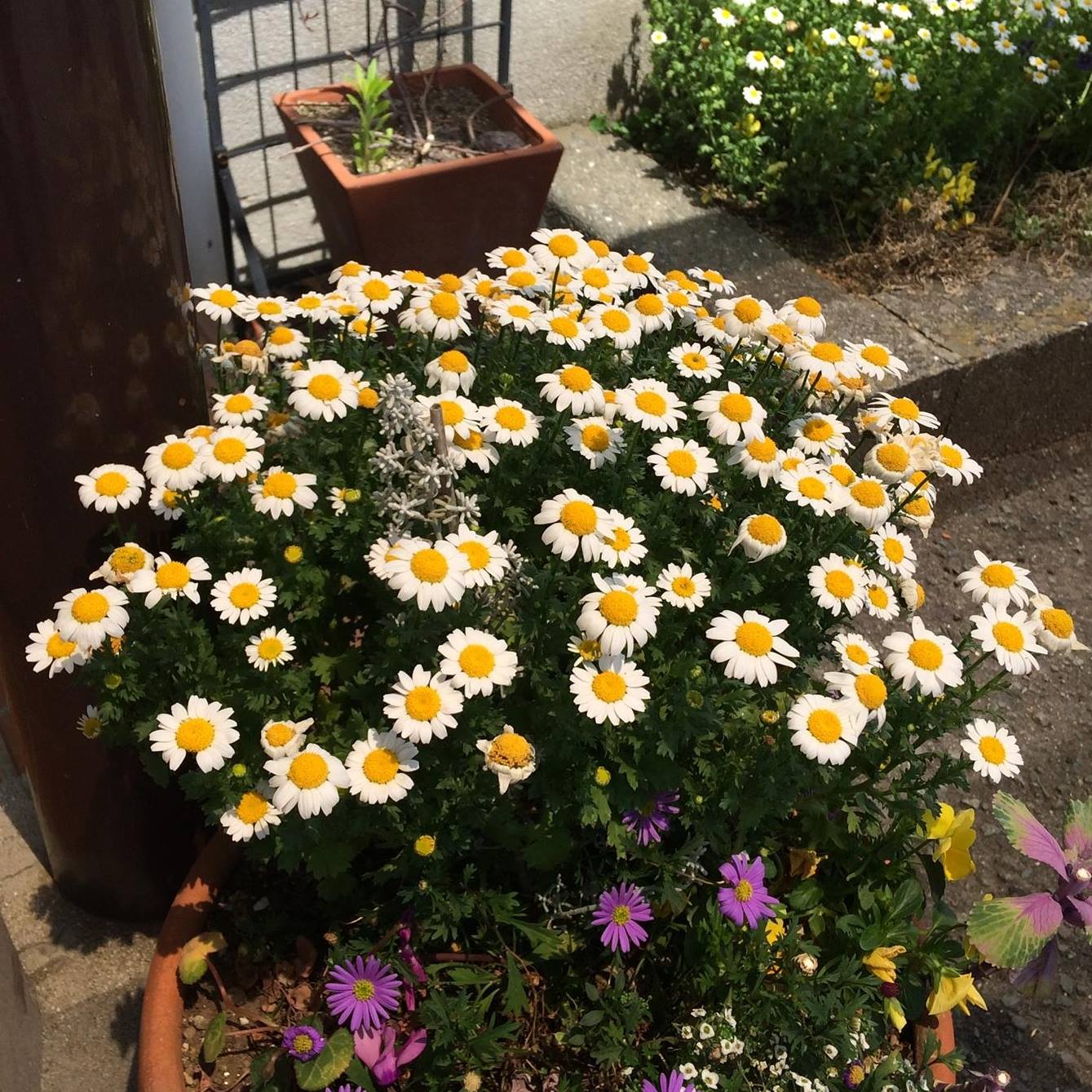 花は咲くコンサート実行委員会