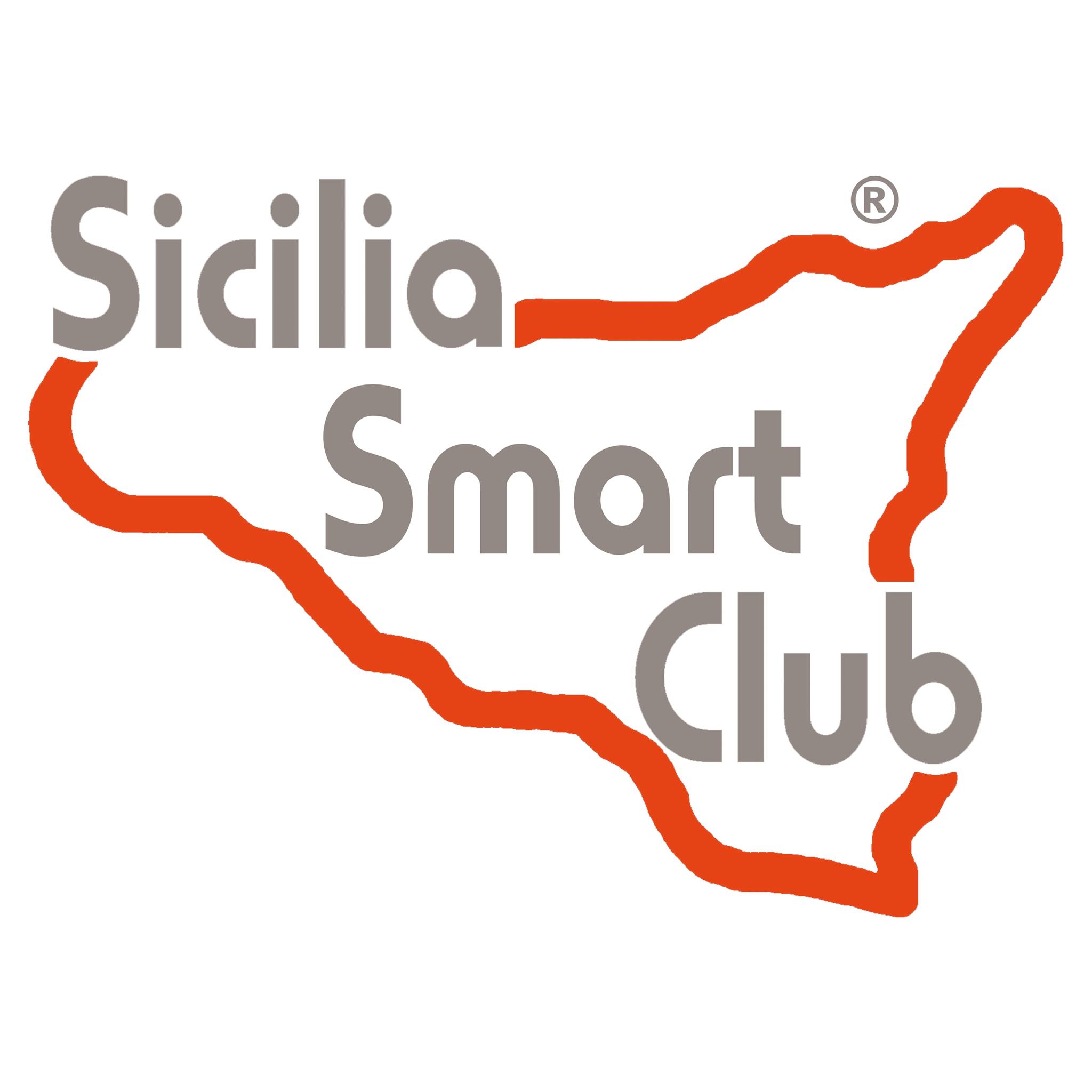 Smart 450 - 451 - 452 - 453 - 454 | Qualcuno ha montato il gancio ...