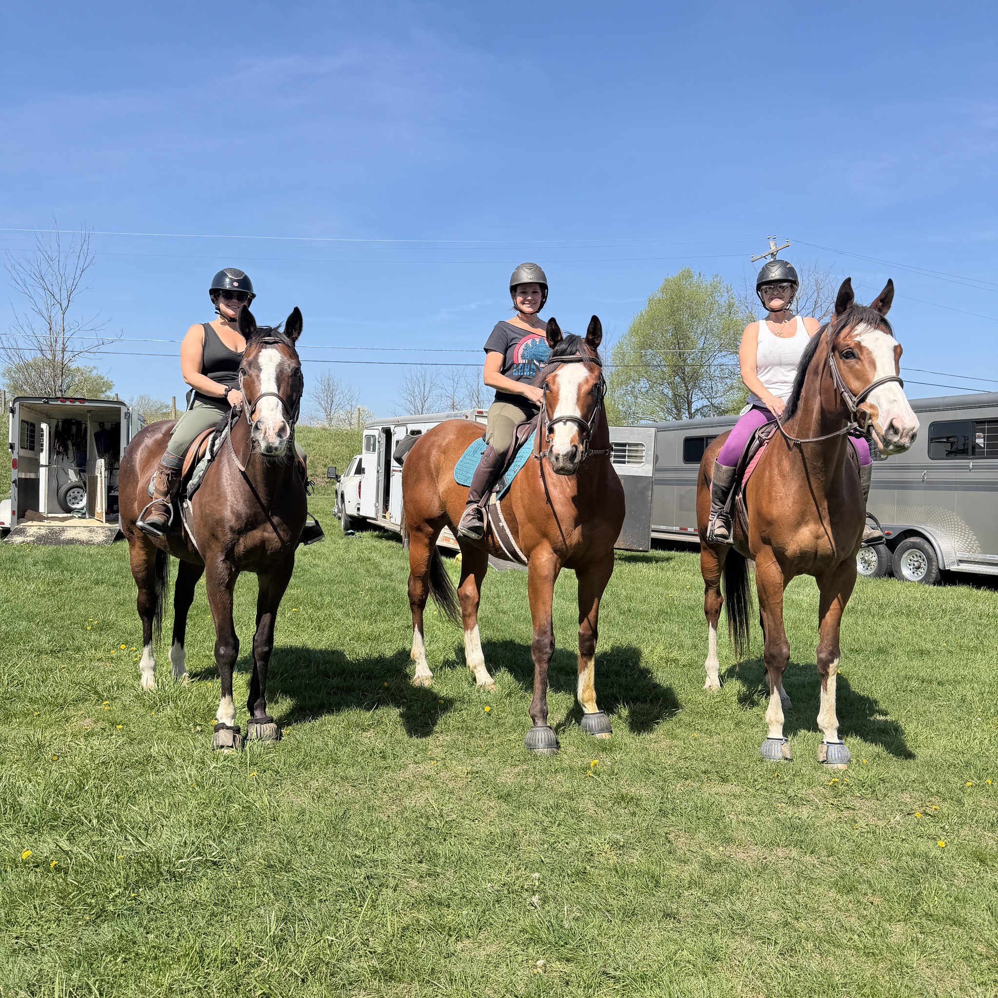 Chambourcin Spring Farms added... - Chambourcin Spring Farms