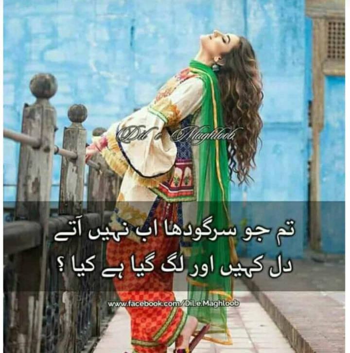 Rai Rashid Aman Bhatti