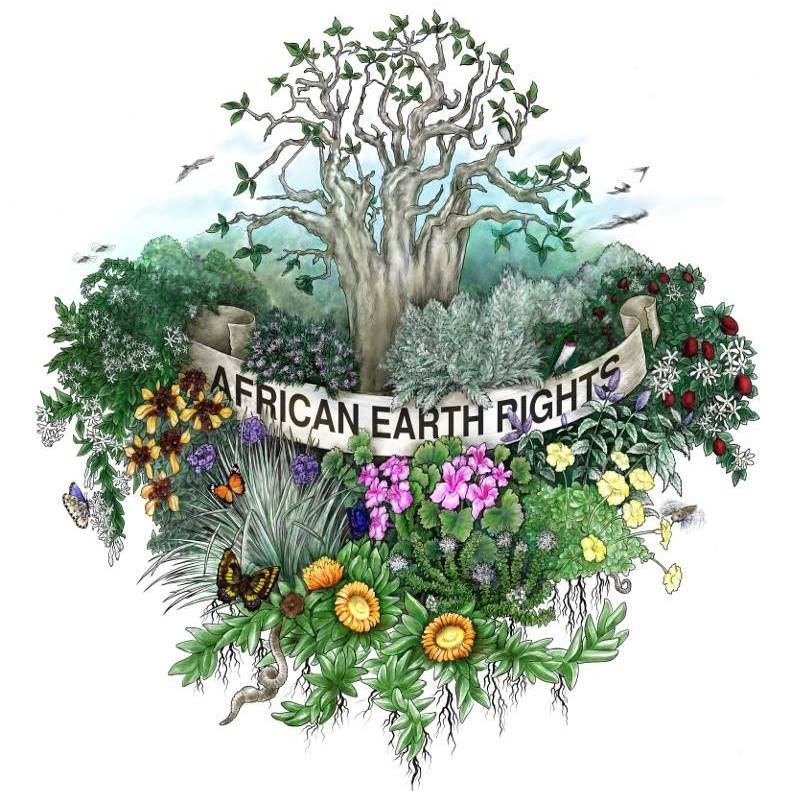 African Earth Rights