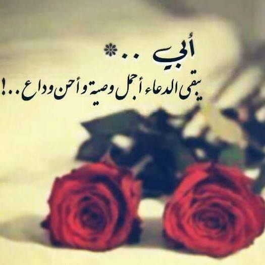 ابي