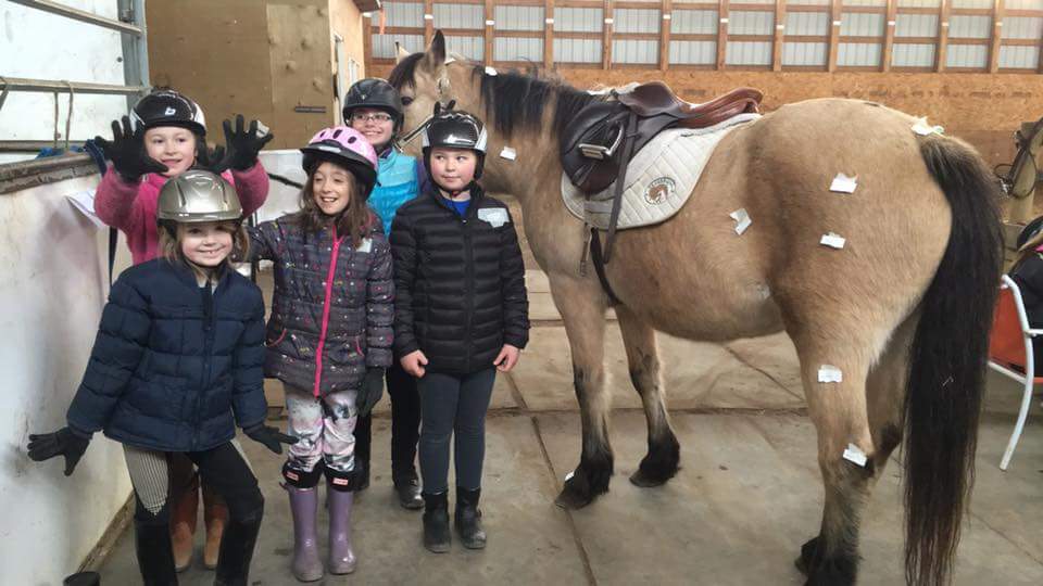 Devon Ridge Summer Riding Camps | Spruce Grove AB