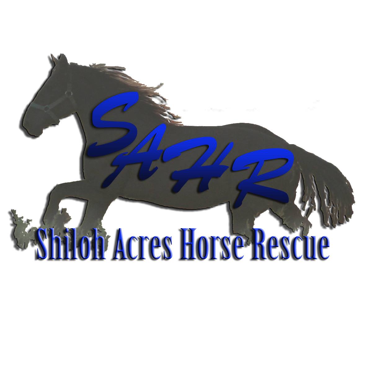 Shiloh Slaughter Logo Big Shootout Lived Up To Its Made For TV Name