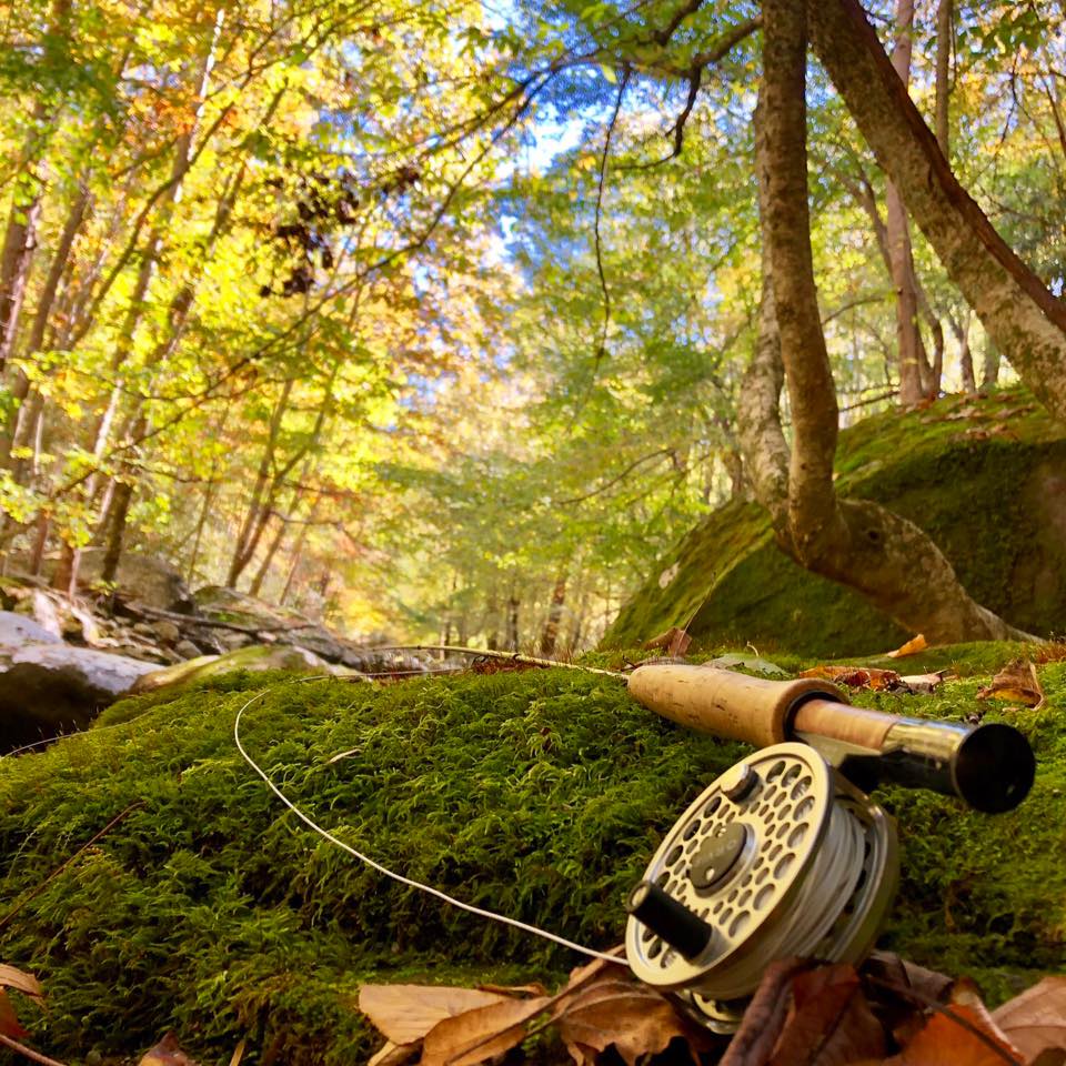 Fly Fishing Rome