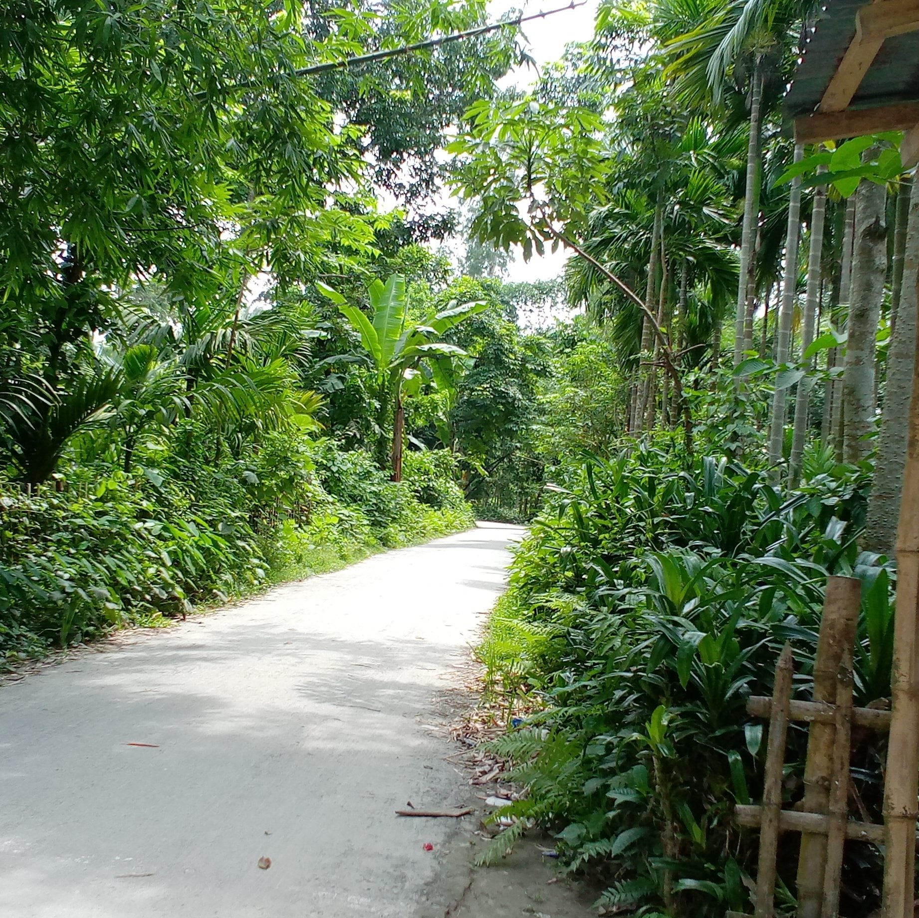 স্বপন | Rangpur