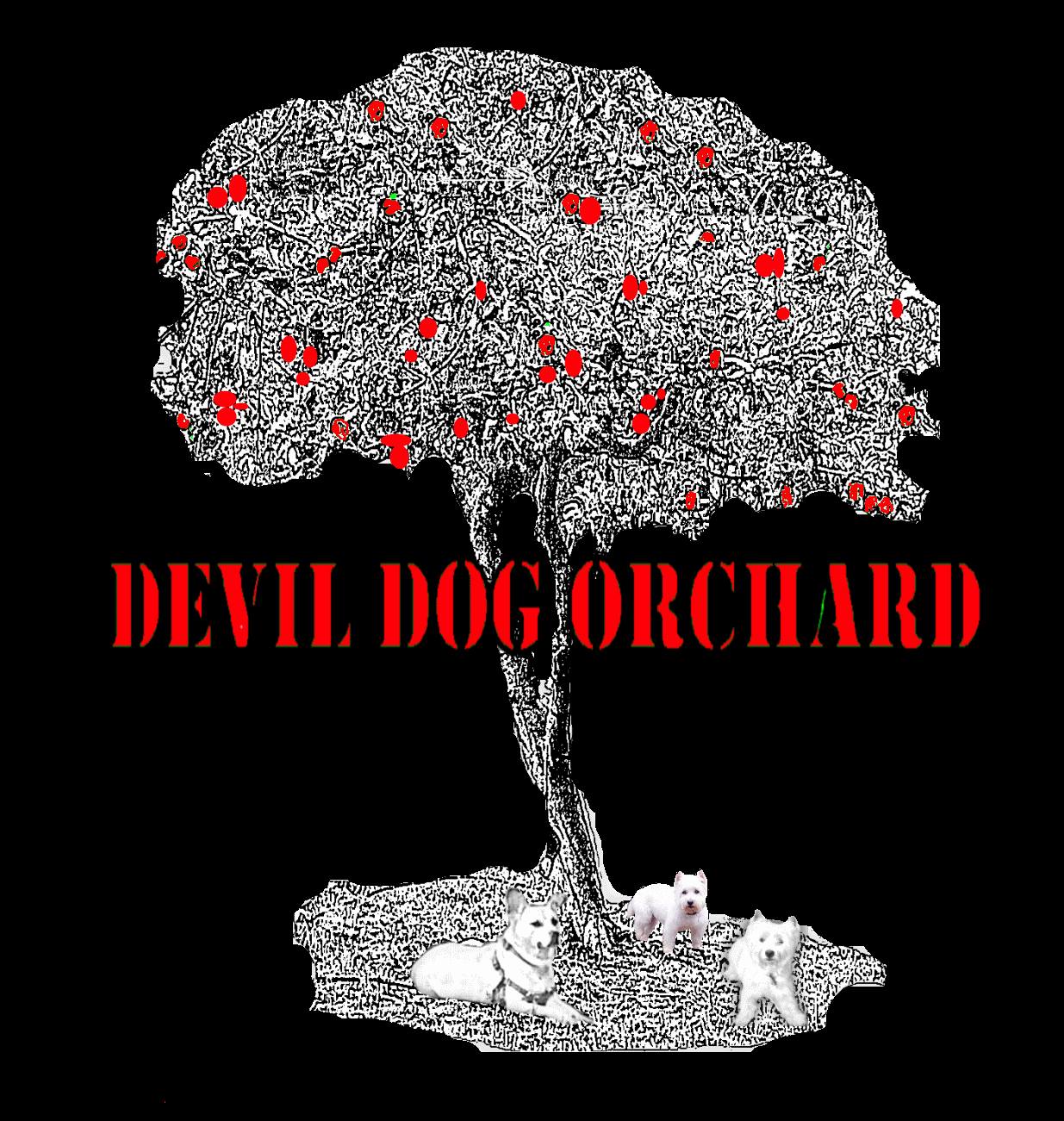 Devil Dog Orchard | Reidsville NC
