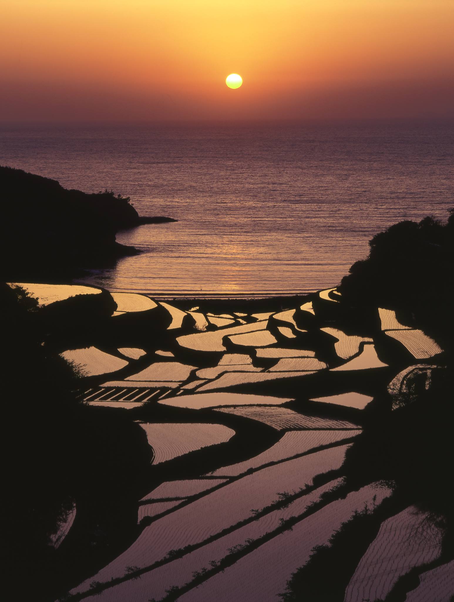 浜野 浦 の 棚田 展望 台