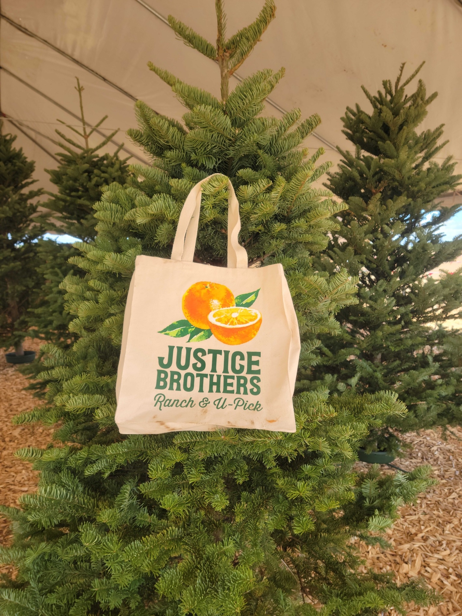 Justice Brothers Ranch | Glendale AZ