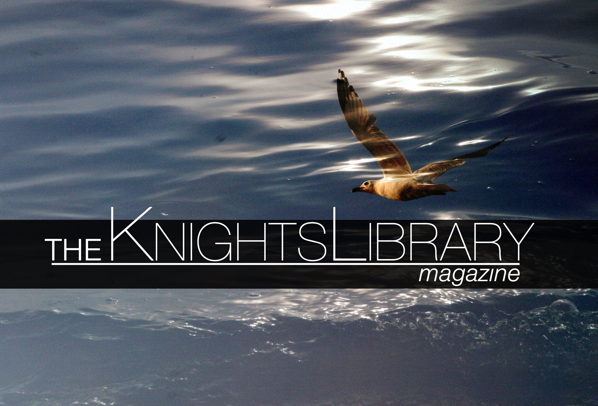Knight's Library