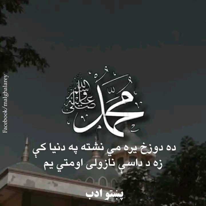 Ishq e Rasool ﷺ”Par Qurban | Mardan