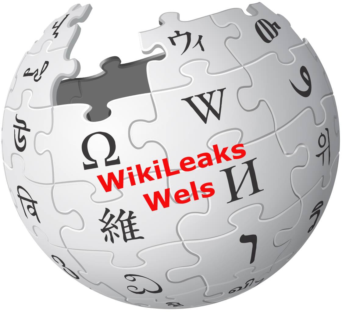 WikiLeaks Wels - Nach 45 Jahren ist Schluss. Ab 2029 fährt... | Facebook