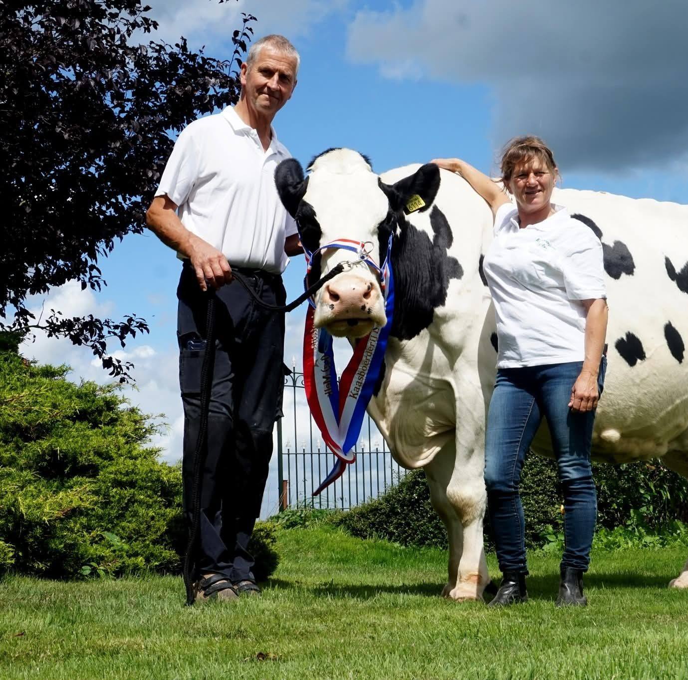 Melkveehouderij Luijben - Verkerk | Aarlanderveen