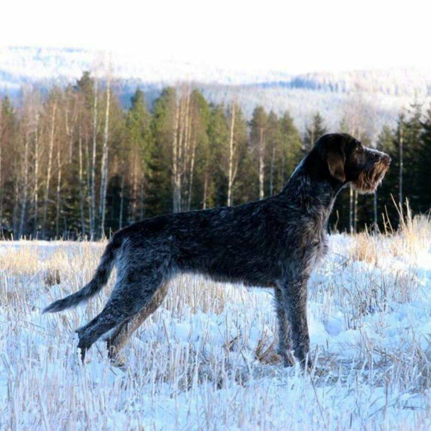 What Is The Most Misspelled Word In Colorado