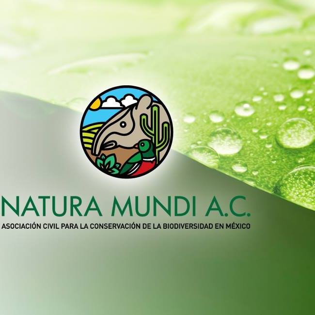 natura-mundi-a-c-aguascalientes