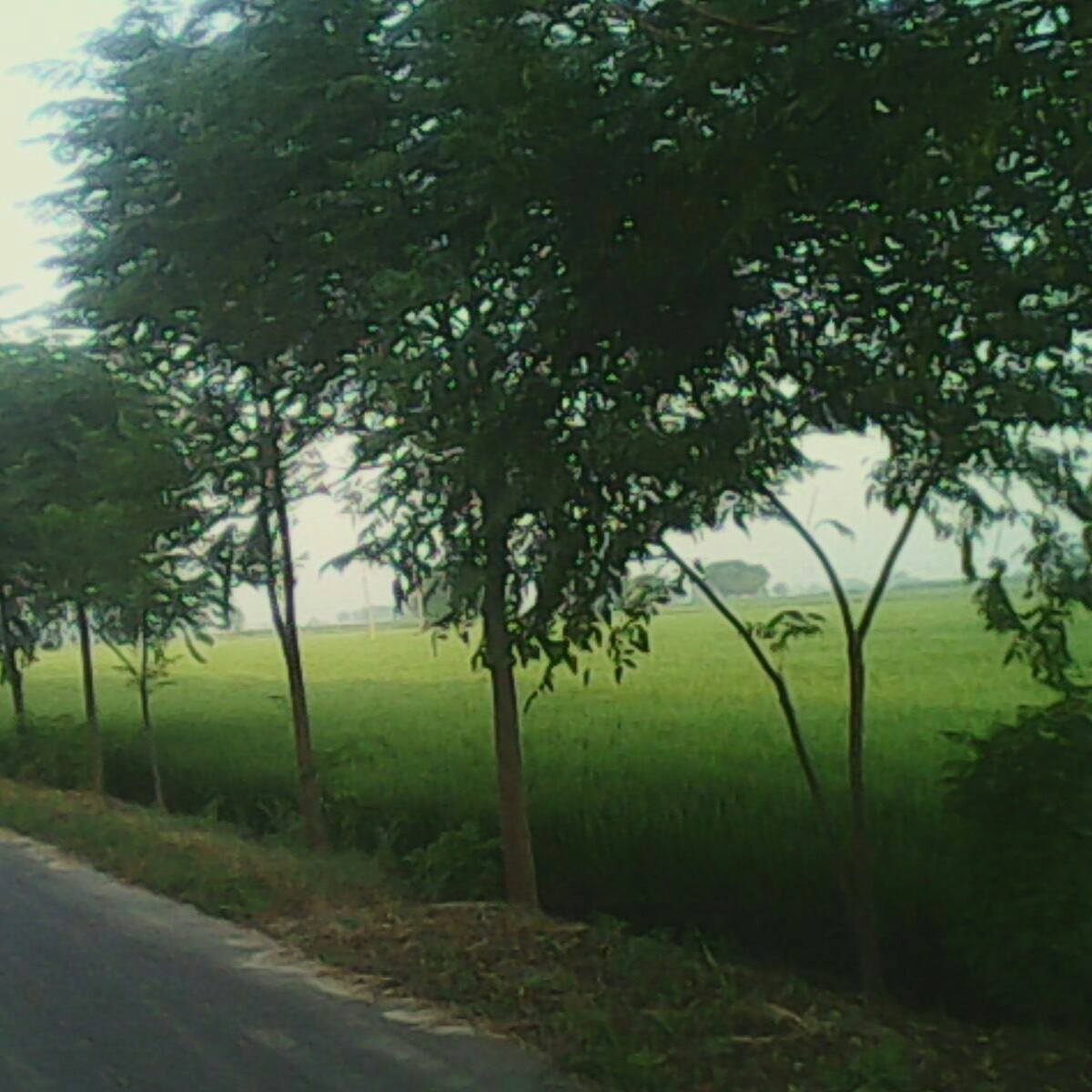Pind hathur