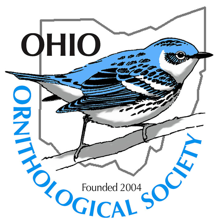 Ohio Ornithological Society - #HotspotHighlight GLEN ECHO PARK This ...