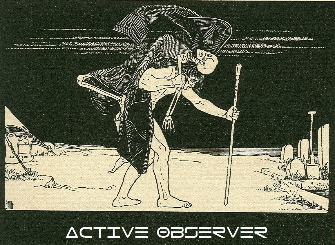 Active Observer