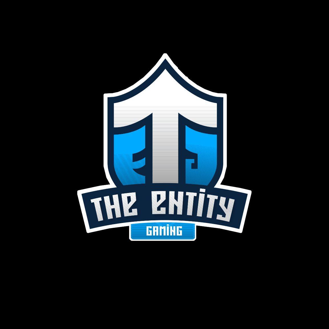The EntitY GaminG