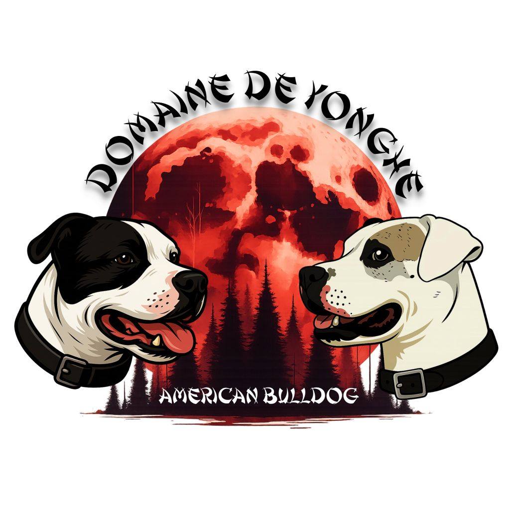 Ça commence à bien s'exprimer 😍 | Le Domaine de Yonghe
