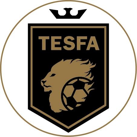 TESFA Football Academy | Addis Ababa
