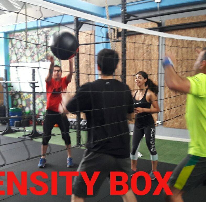 Intensity BOX Crossfit