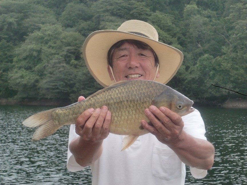 弧千のヘラ鮒