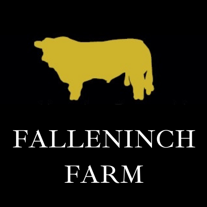 Falleninch Farm - Christmas is coming to Falleninch 🎄... | Facebook