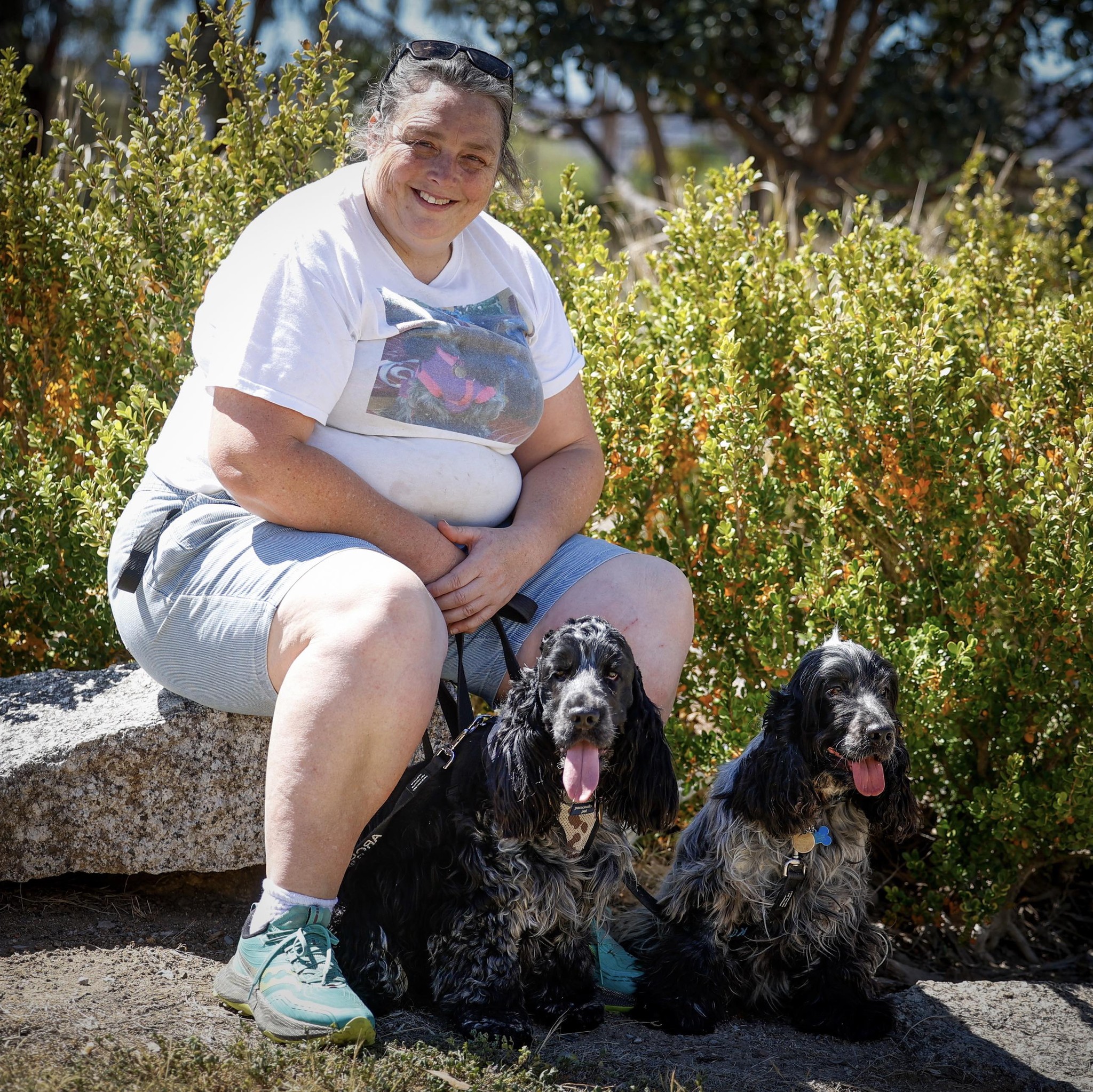 Cocker Spaniel Rescue Australia Inc