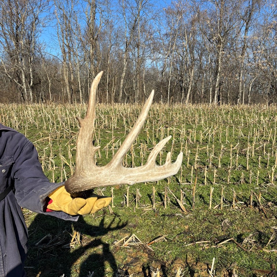 Wolfcreek Whitetails of Ohio