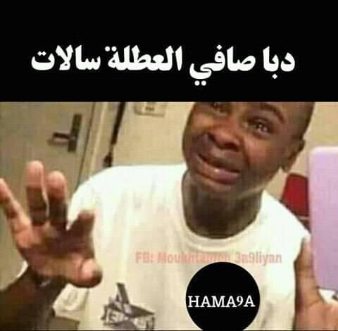 Ta3lim rasm