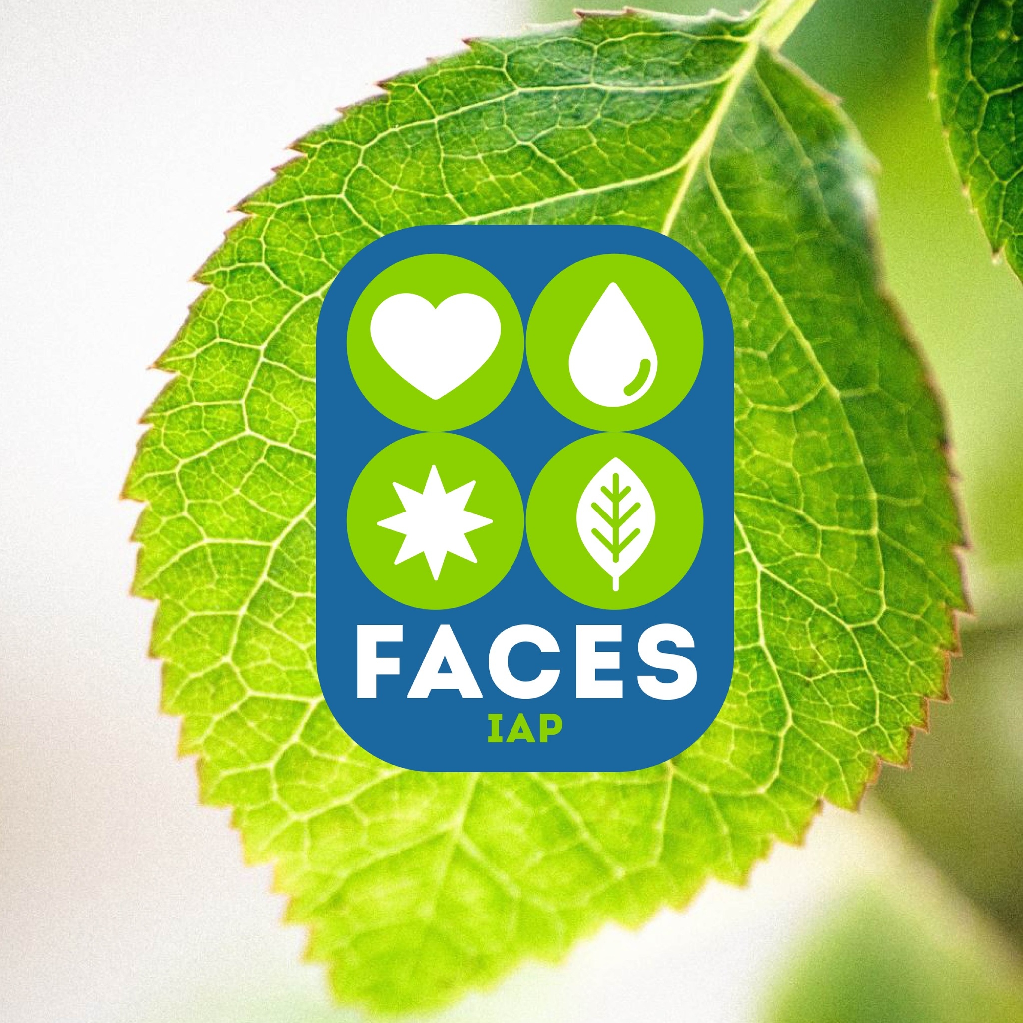 FACES - 🪲 Insectos útiles en el jardín y en la agricultura 🌿 Un ...