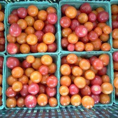 8/19 sample share... - Voluntary CSA of Stillwater/Andover NJ | Facebook