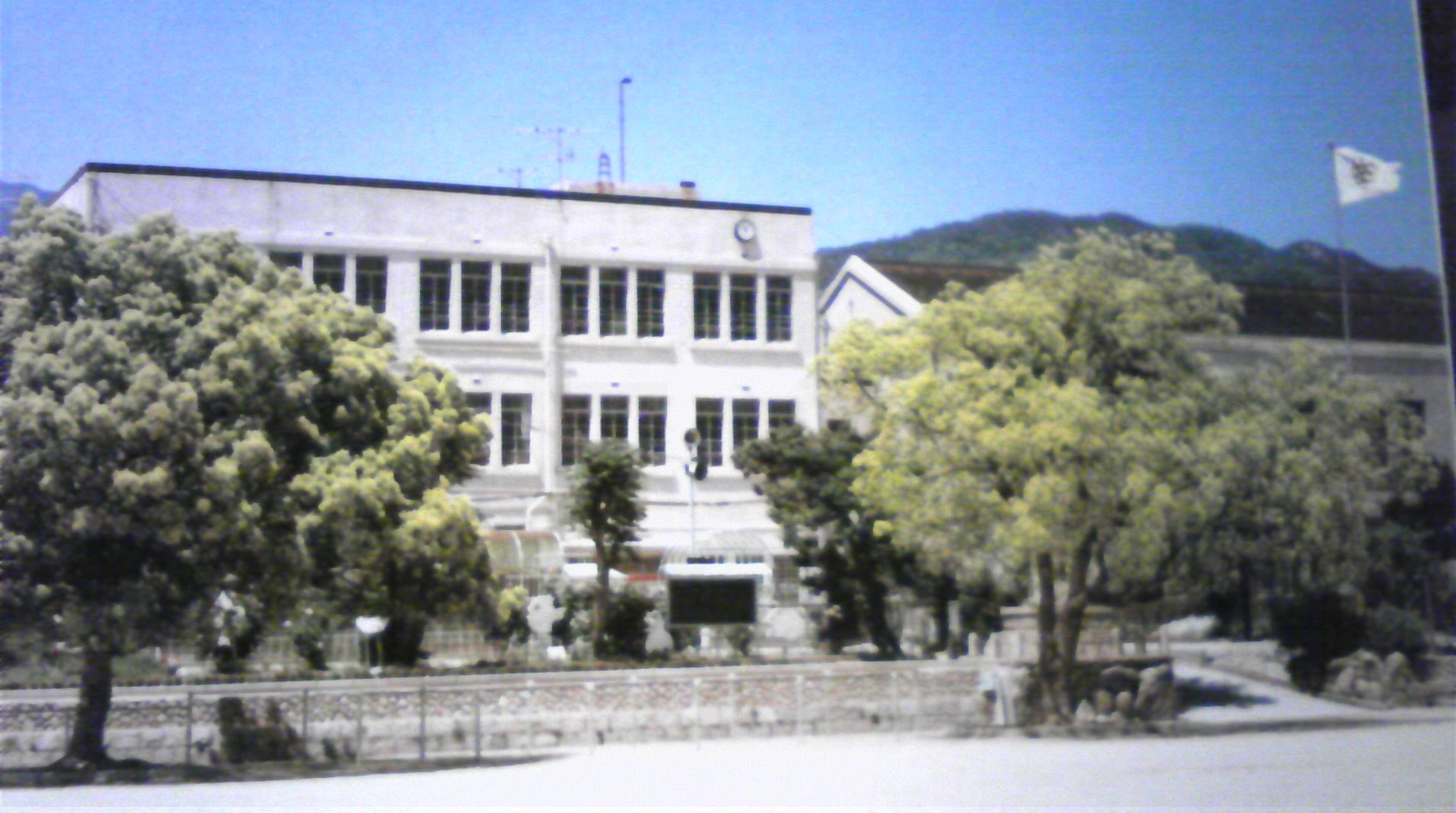 神戸 市立 住吉 小学校