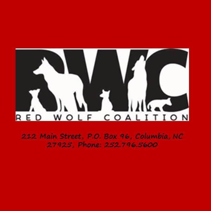UPDATE ON THE STATUS OF THE WILD RED... - Red Wolf Coalition | Facebook