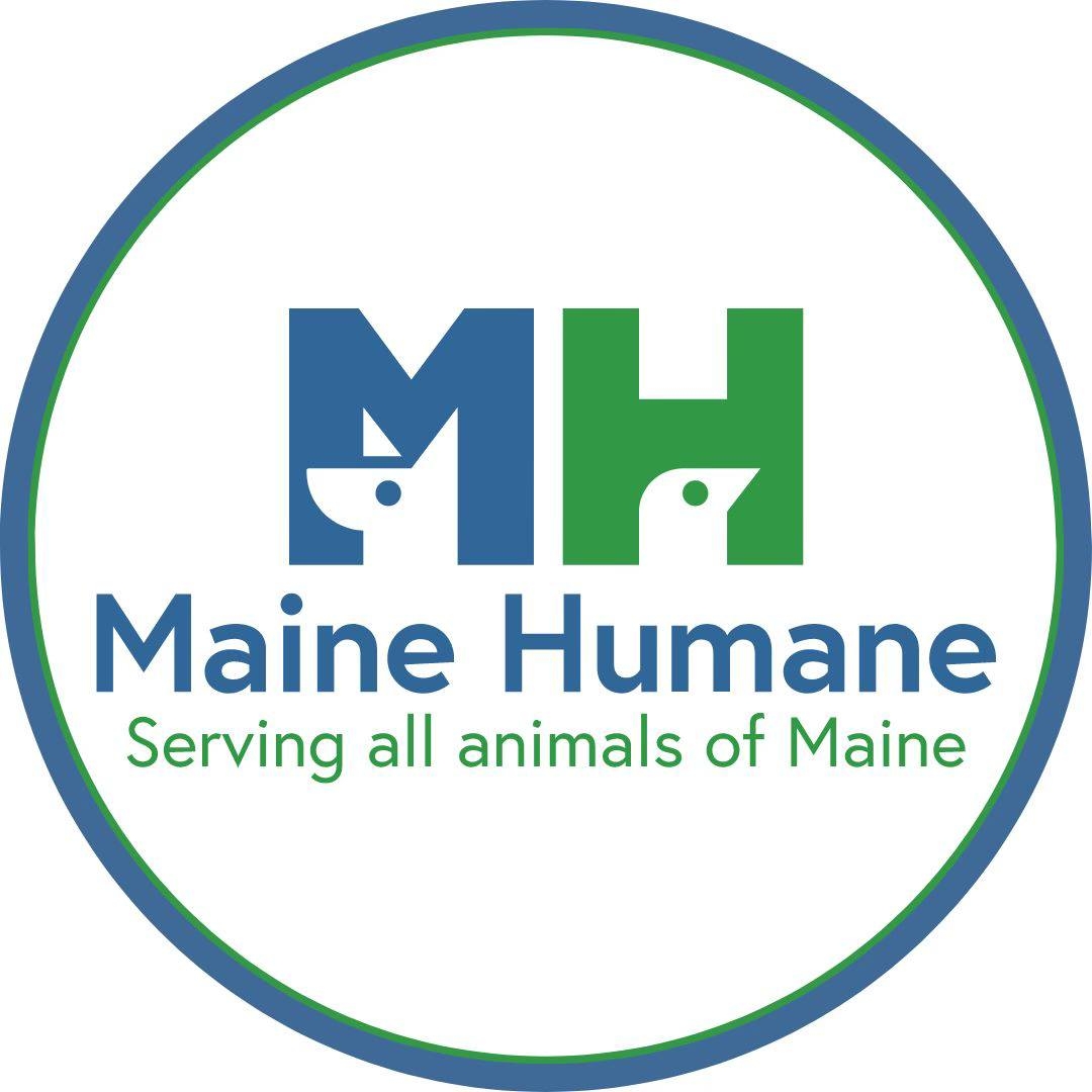 Let’s dispel this myth... - Friends of Feral Felines, Maine | Facebook