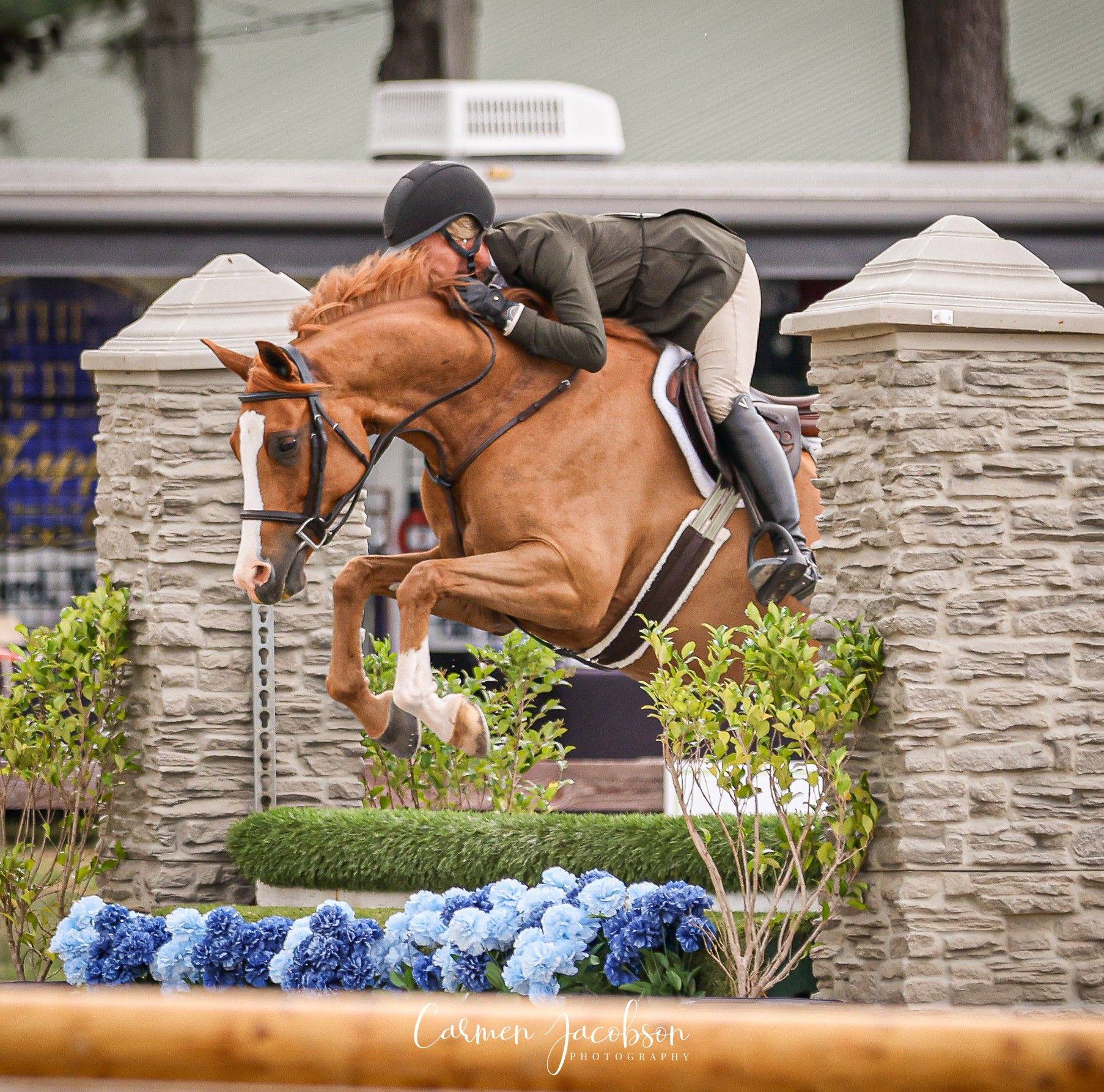 Windy Ridge Farm | Beaufort NC