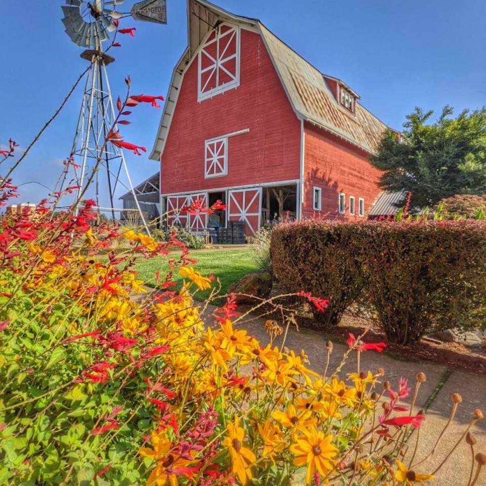 HORSE DRAWN RIDES 9am-4:30pm today!... - Thistledown Farm | Facebook
