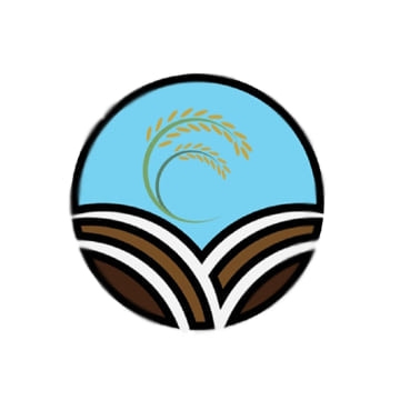 Hasan Rice Corporation | Jalalpur Nau