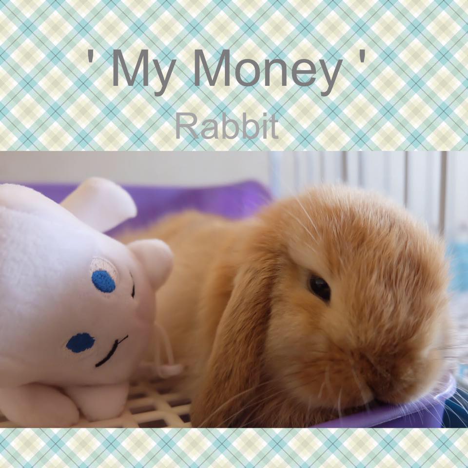 My money Rabbit - เห้อมันนี่ปลดล๊อคไม่เป็น... | Facebook